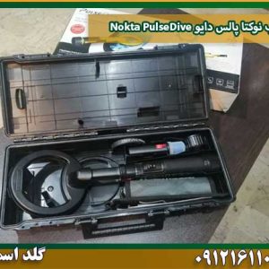قیمت فلزیاب-نوکتا-پالس-دایو-Nokta-PulseDive شرکت گلد اسمیت 09121611094
