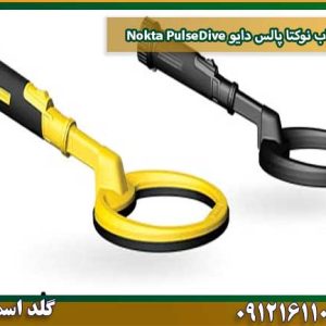 فلزیاب نوکتا پالس دایو Nokta PulseDive شرکت گلد اسمیت 09121611094