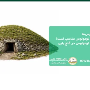 تومولوس چیست؟