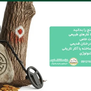6 نشانه زمین دارای گنج را بدانید