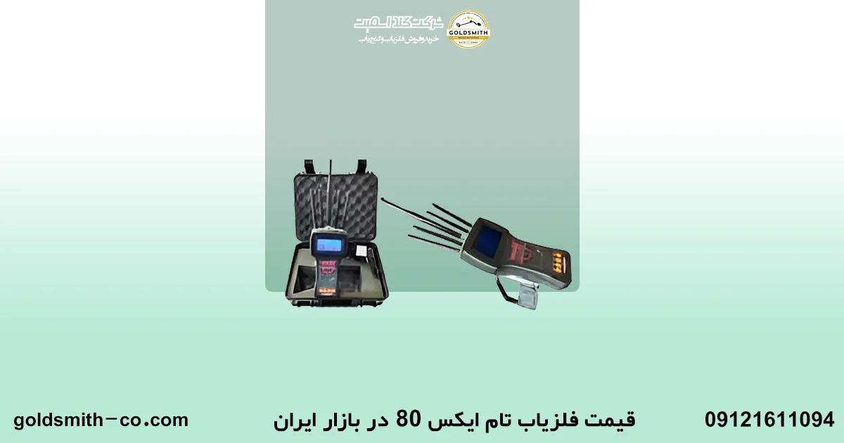 فلزیاب تام ایکس 80